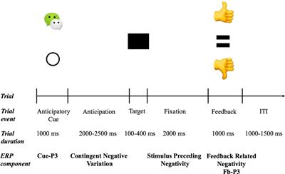 Social Incentives Anticipation and Consummation: Investigating Neural Activity in Women Using Methamphetamine